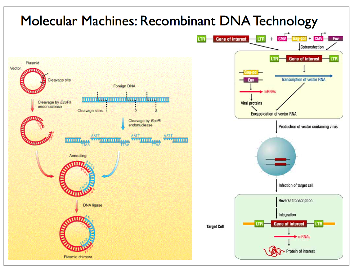 Scalable Neuroscience and the Brain Activity Mapping Project