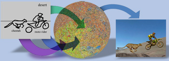 Data-driven Vision and Graphics