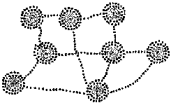 Cell