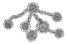 Cell