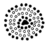 Cell