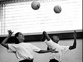 [Volleyball picture]