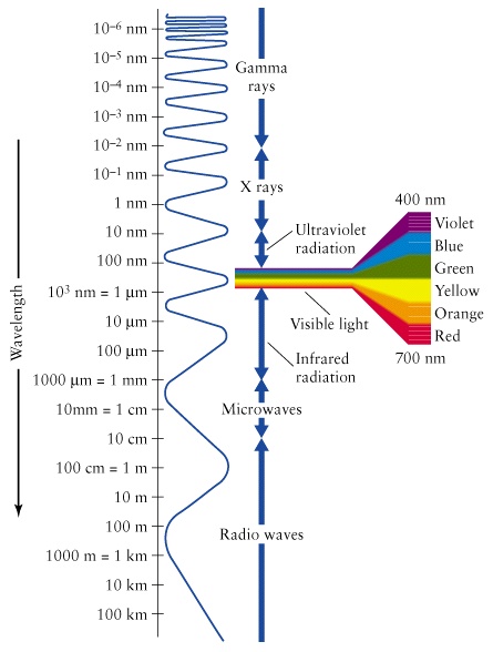 Various wavelengths and positions of visible spectrum.