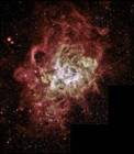 Firestorm of Star Birth Seen in a Local Galaxy