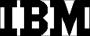 The IBM Logo