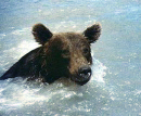 source_01.jpg