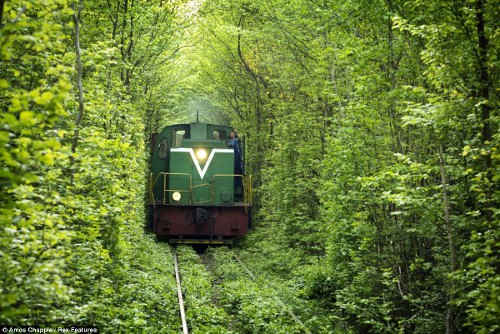 train.jpg