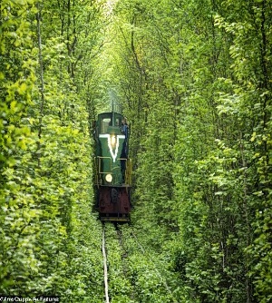 train_300x334grad.jpg