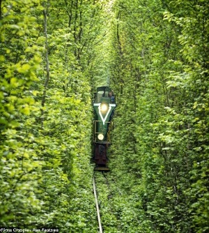 train_300x334sobel.jpg