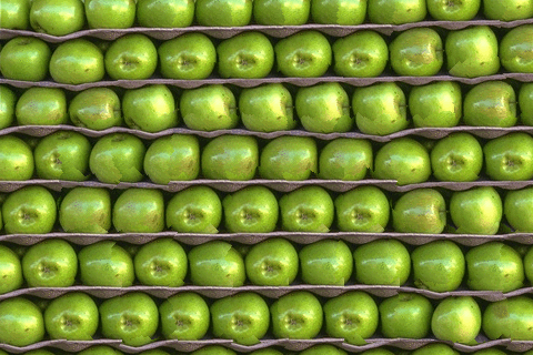 apples_min_cut.png