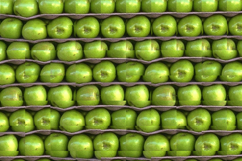 apples_ssd.png