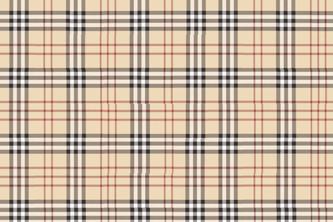 plaid_ssd.png
