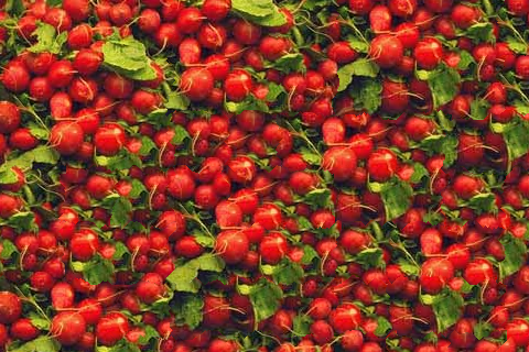radishes_min_cut.png