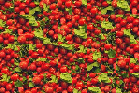 radishes_random.png