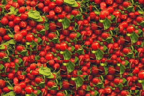 radishes_ssd.png