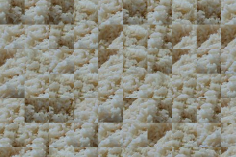 rice_random.png
