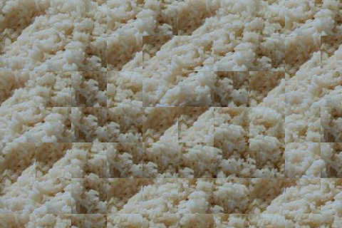 rice_ssd.png
