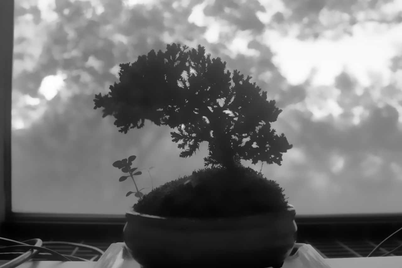 bonsai_B.png