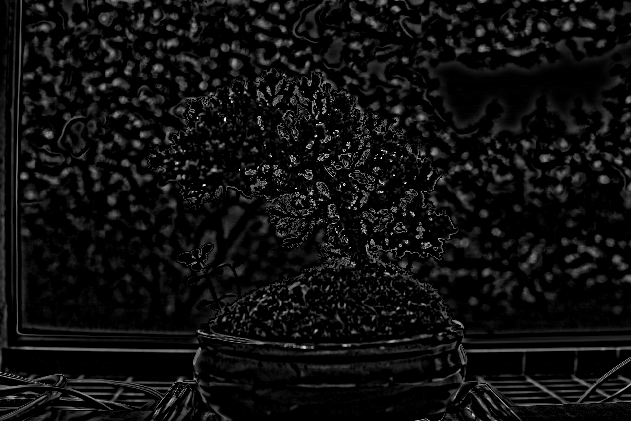 bonsai_D.png