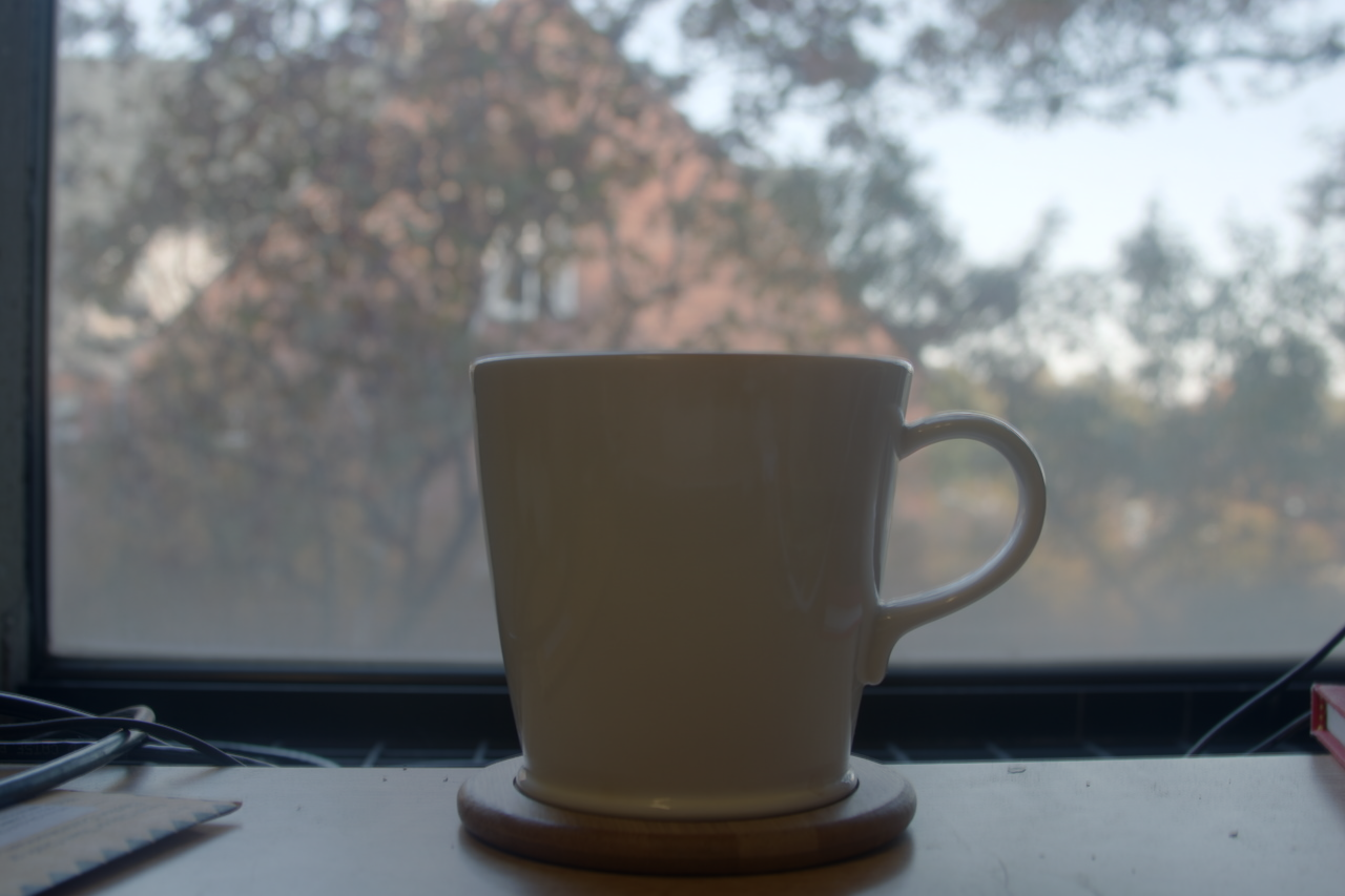 mug_global_simple.png