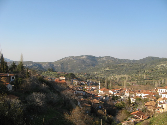 01.jpg