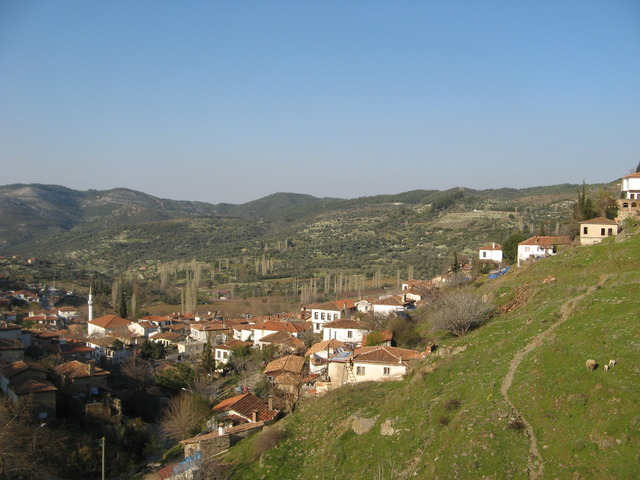 03.jpg