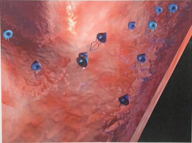 athos_artery_view_2