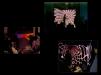 Final_Project_Demos_in_Cav