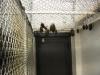 bats_010