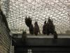 bats_021
