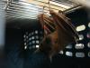 bats_054