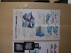publicdemo_007