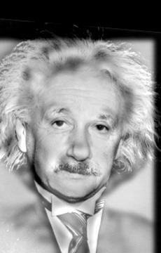 Einstein and Marilyn
