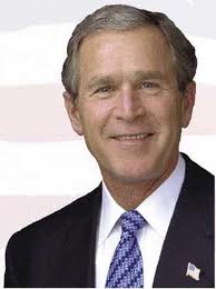 bush.jpg