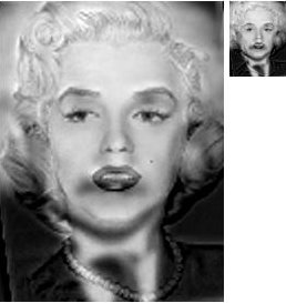 Marilyn and Einstein