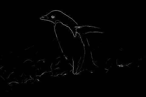 Penguin Sobel