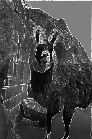 llamacomp