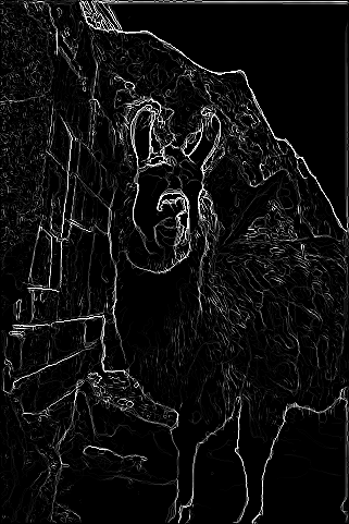 llamapb
