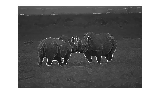 rhino overlay