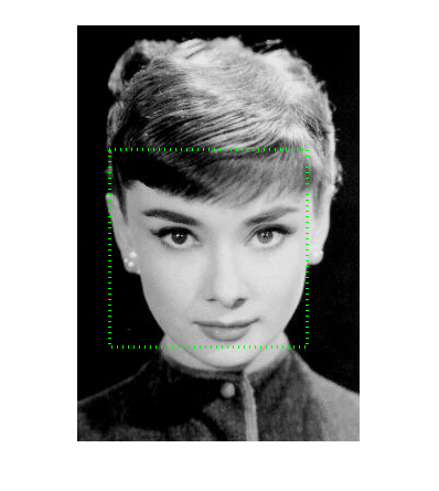audrey hepburn