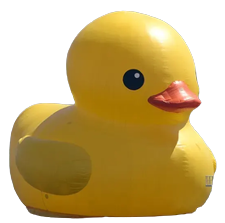 Alex Zhou's Duck