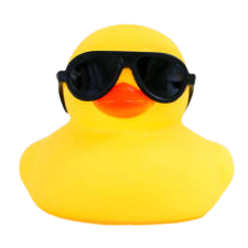 Kiera Walsh's Duck