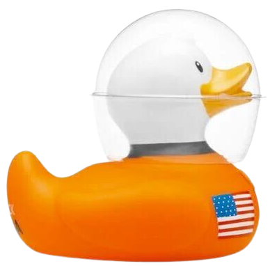 Matthew Harm's Duck