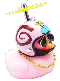 Maya Magavi's Duck