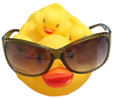 Michelle Lu's Duck