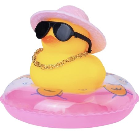 Rachel Chae's Duck