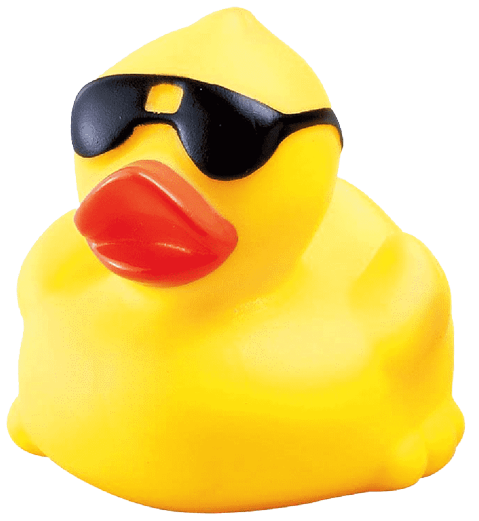 Sofia Vaca Narvaha Cordoba's Duck