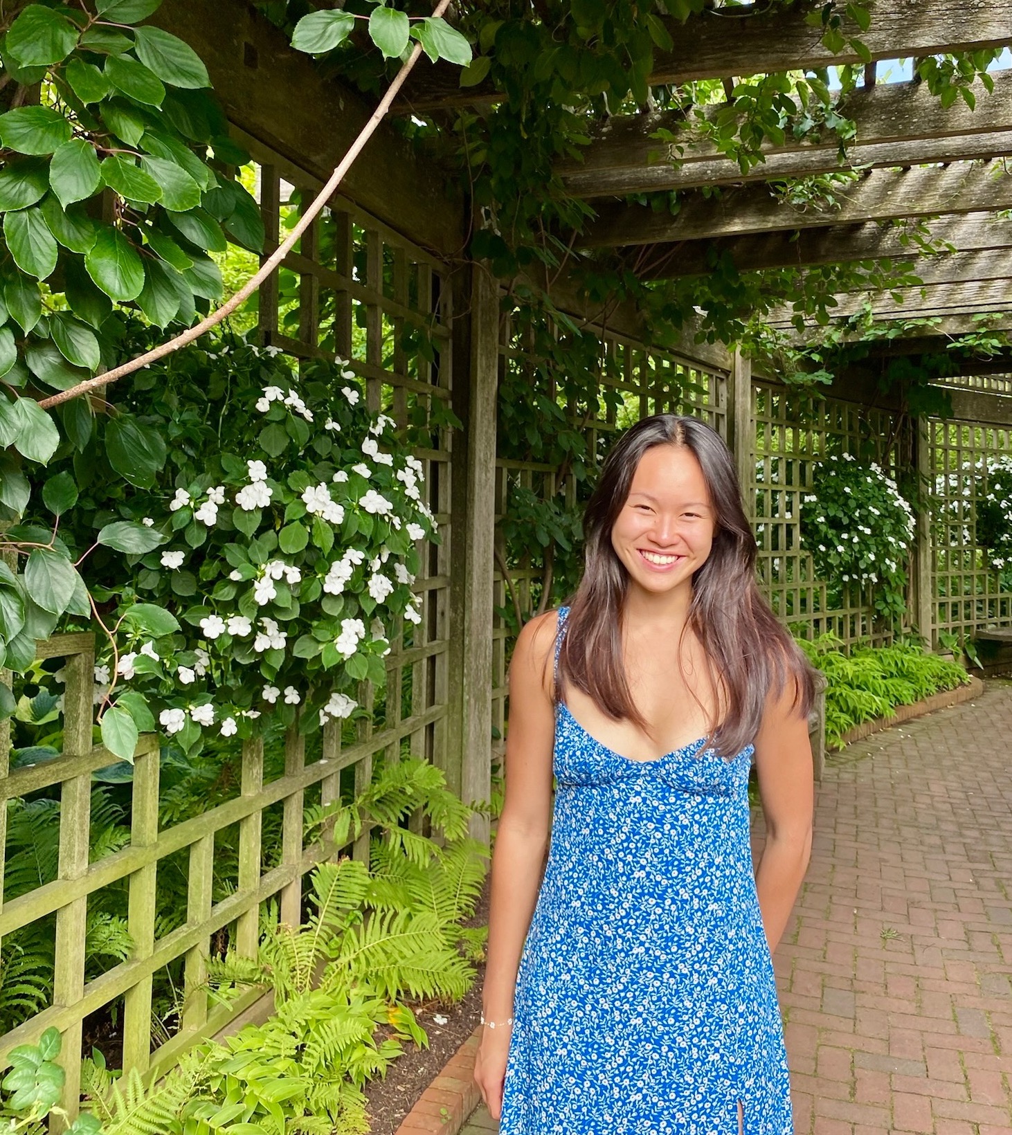 Lisa photo