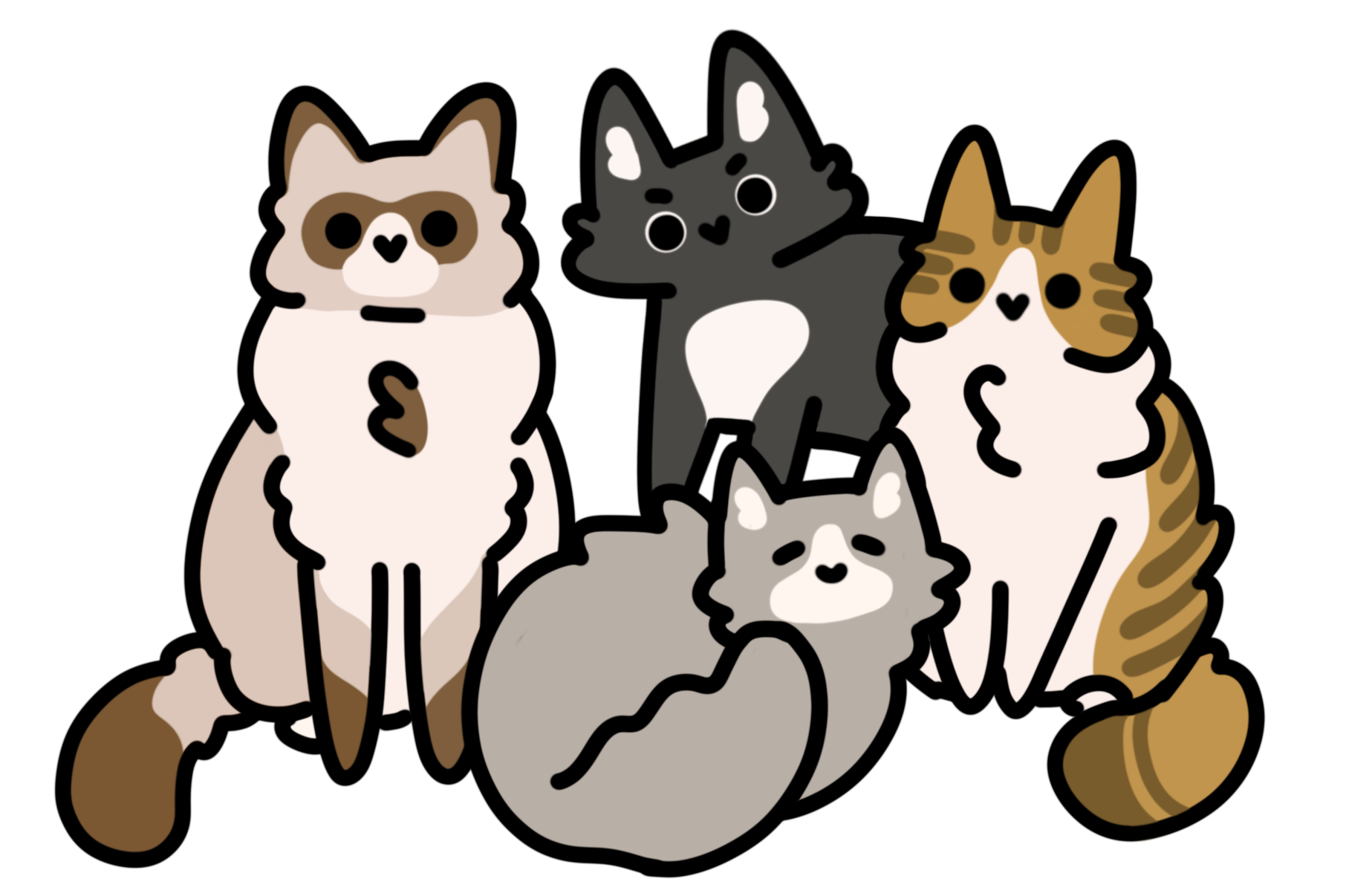 Staff