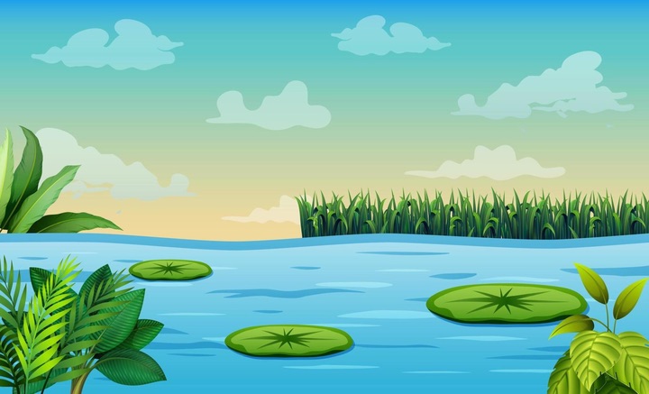 beautiful pond landscape with lush grass and beautiful blue water betwixt fluffy clouds amid a gorgeous pastel sky